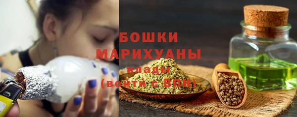 ГАЛЛЮЦИНОГЕННЫЕ ГРИБЫ Балахна