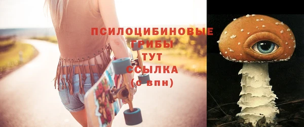скорость Баксан