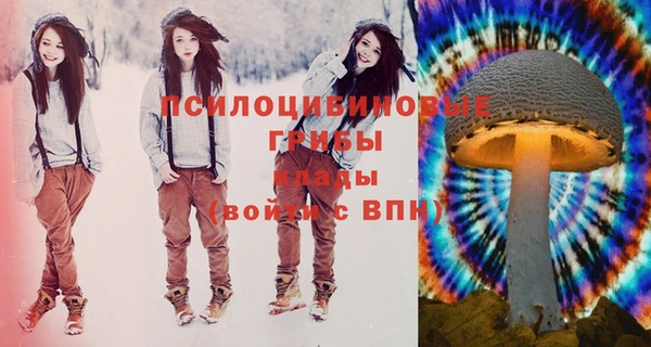 стаф Новодвинск