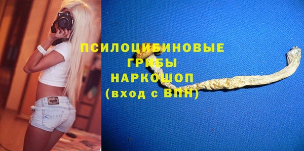 ГАЛЛЮЦИНОГЕННЫЕ ГРИБЫ Балахна