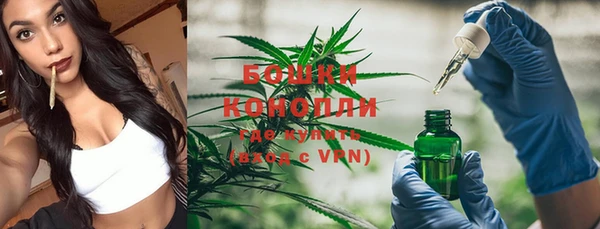 ГАЛЛЮЦИНОГЕННЫЕ ГРИБЫ Новокубанск
