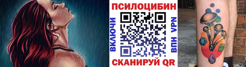 Галлюциногенные грибы Magic Shrooms  магазин продажи   Нарткала 